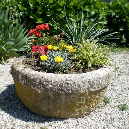 Penzion Quinta De S.vicente