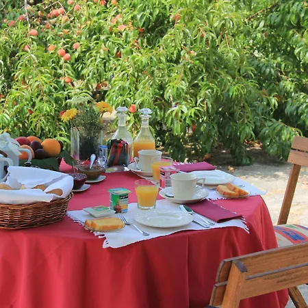 Quinta De S.vicente