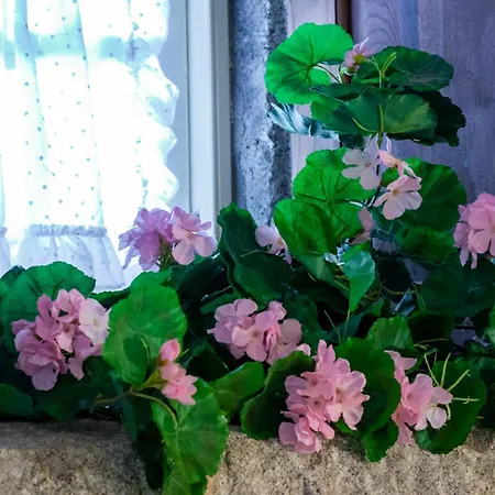 Quinta De S.vicente Geraz do Minho