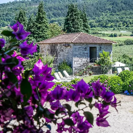 Quinta De S.vicente Penzion *