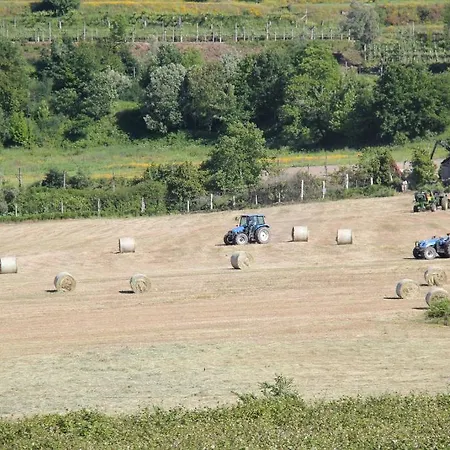 Pensión Quinta De S.vicente Geraz do Minho