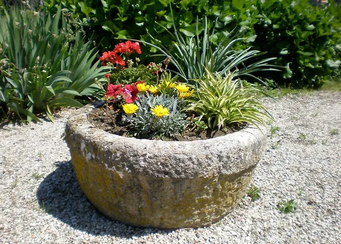 Maison d'hôtes Quinta De S.vicente