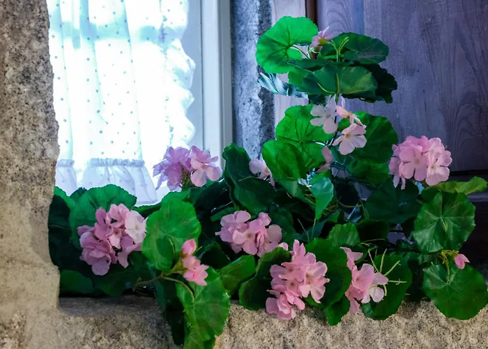 Quinta De S.vicente Geraz do Minho