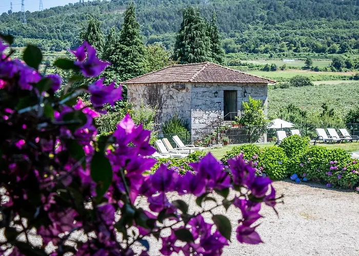 Quinta De S.vicente Maison d'hôtes 4*