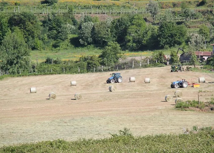 Casa de hóspedes Quinta De S.vicente Geraz do Minho